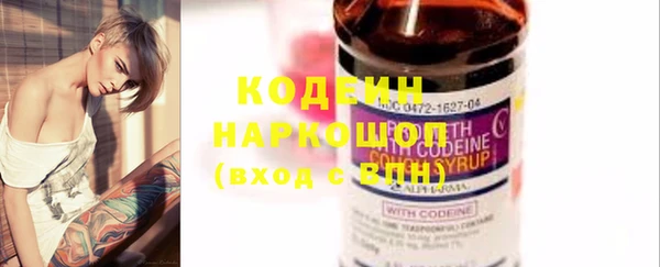 дмт Кодинск
