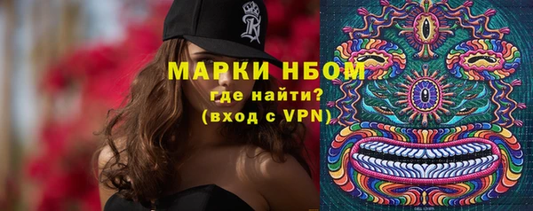 дмт Кодинск