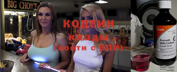 дмт Кодинск