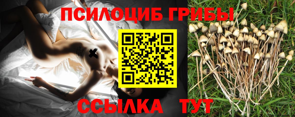 Галлюциногенные грибы мухоморы Армавир
